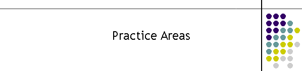 Practice Areas